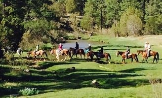 Group of riders on horseback in a sunlit meadow